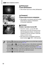Страница 58