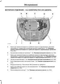 Страница 239