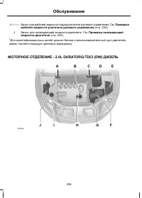 Страница 240