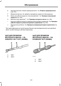Страница 243