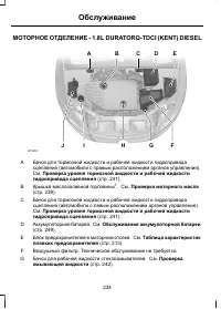 Страница 236