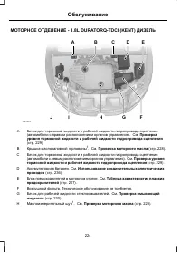 Страница 226