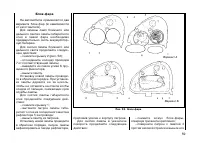 Страница 59