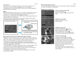 Страница 56