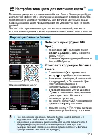 Страница 117