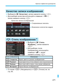 Страница 271
