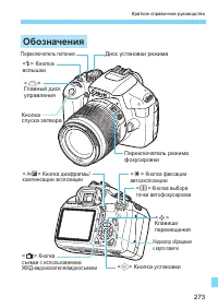 Страница 273