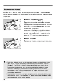 Страница 28