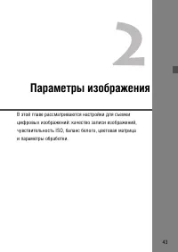 Страница 43