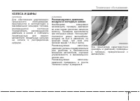 Страница 366