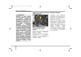 Страница 385