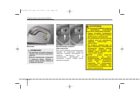 Страница 262
