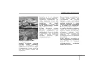 Страница 120
