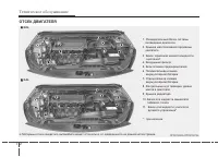 Страница 437