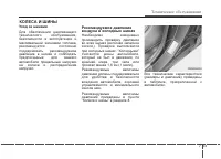 Страница 488