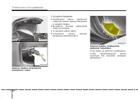 Страница 525