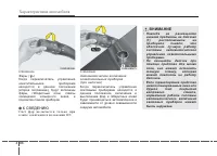 Страница 181