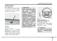 Страница 240