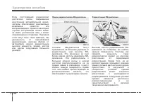 Страница 243