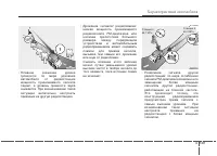 Страница 244