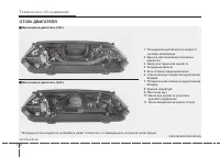 Страница 394