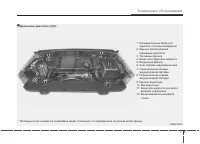 Страница 395