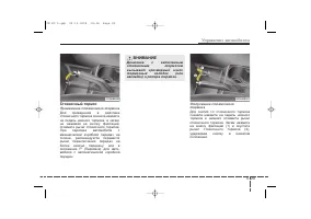 Страница 271