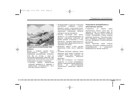 Страница 295
