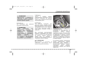 Страница 296