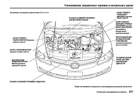 Страница 261