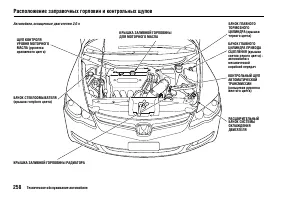 Страница 262