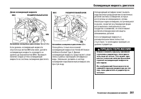 Страница 265