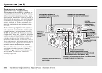 Страница 243