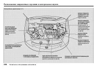 Страница 258