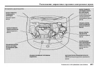 Страница 259