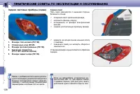 Страница 135
