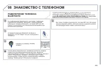 Страница 251
