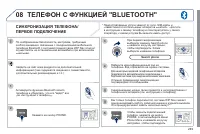 Страница 251