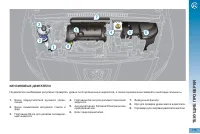 Страница 177