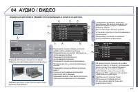 Страница 243