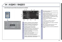 Страница 251