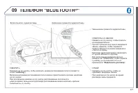 Страница 273