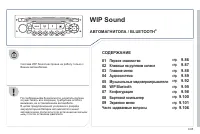Страница 243