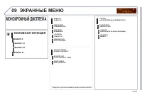 Страница 259