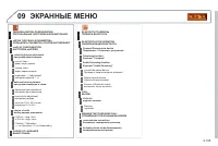 Страница 263