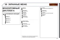 Страница 223
