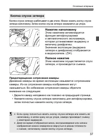 Страница 37