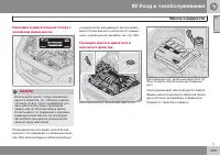 Страница 229