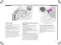 Страница 140
