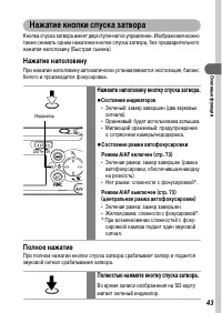Страница 45